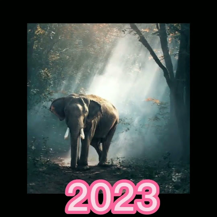 2023_ELEPHANT_vs_5000_bce_ELEPHANT%F0%9F%A6%deo_%23anime#short# ...