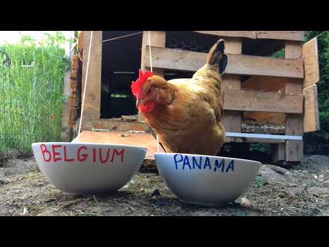 Belgique - Panama