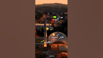قلبي على بابك سجد 