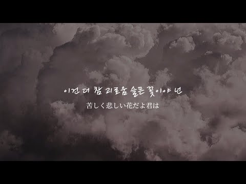 【日本語字幕/歌詞】먹구름(Dark Clouds) — taeyong （nct）