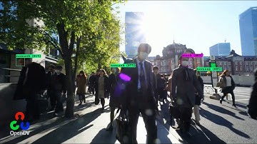 yolo4 detection video 2