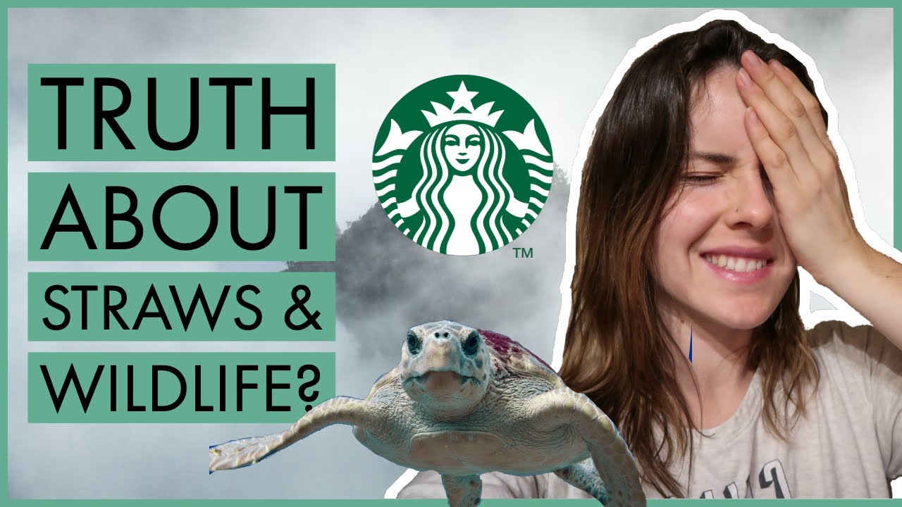 My thoughts on the plastic straw ban... YouTube