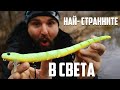 НАЙ-СТРАННИТЕ примамки за риболов в света! Разопакованица и тест! weird fishing lures