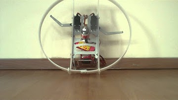 Setup RC paramotor Flex 1.7 V3 from flypg