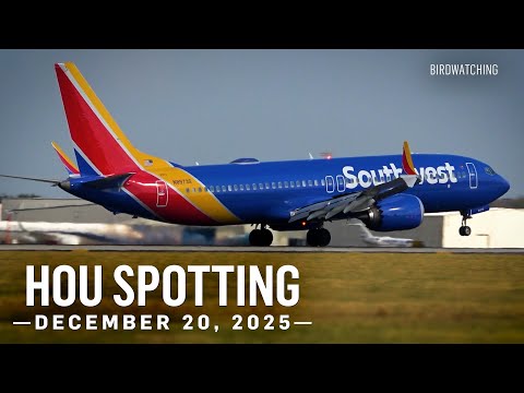 How Large Is Houston Hobby Airport