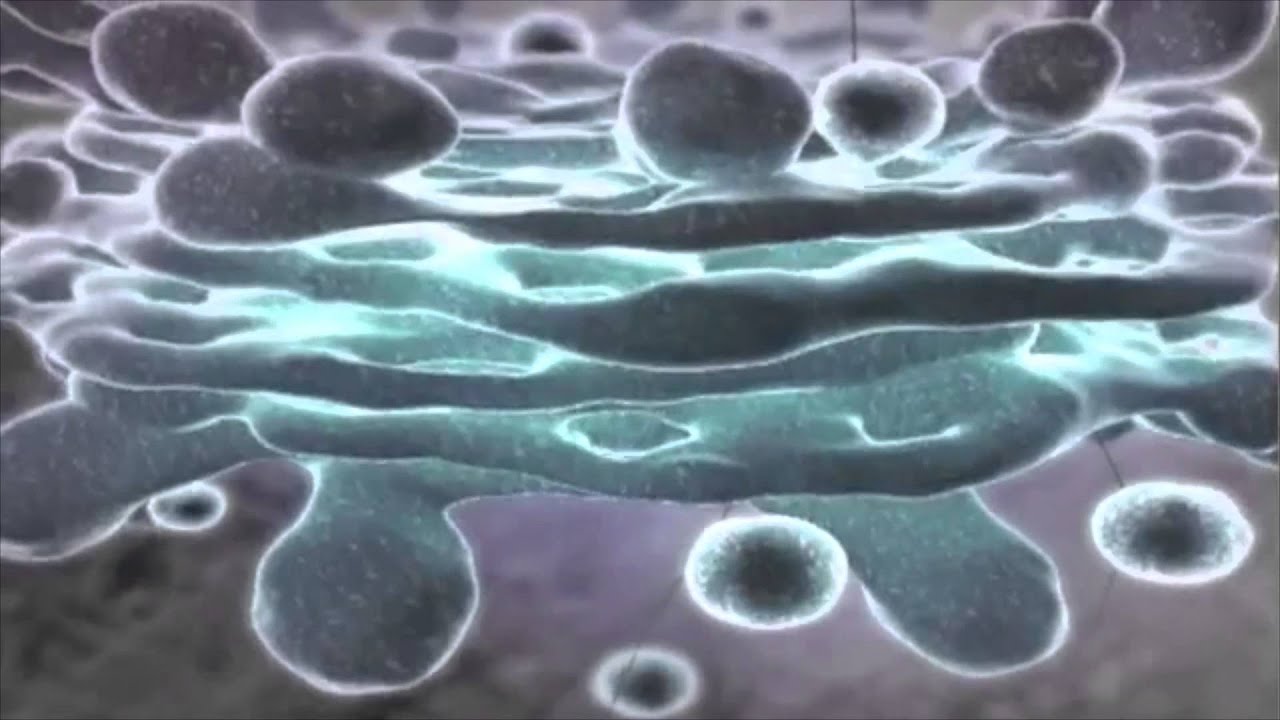 Simone Bertolini & DaViX - Darkshower (Original Mix) (Official Video) auf YouTube ansehen Simone Bertolini & DaViX - Darkshower (Original Mix) (Official Video) auf YouTube ansehen