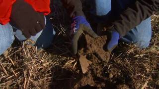 No-Till = Better Soil Quality