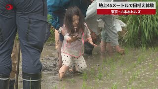 【速報】地上45メートルで田植え体験 東京・六本木ヒルズ