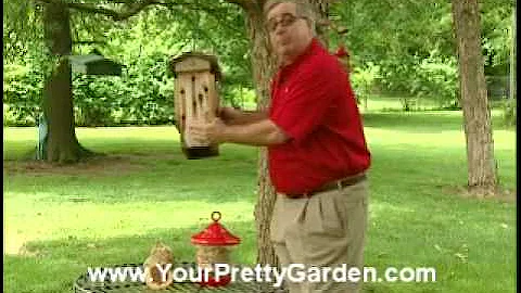 Birdman Mel Attracting Clingers and Woodpeckers