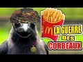 Un mec devient le roi dune arme de corbeaux grace a des frites mcdonalds 