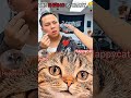 🤣#cat #funny #happycat #hunter_boyffb #saddog