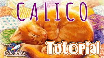 CALICO 🐈  [TUTORIAL]