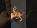 T-REX REVIEW 🔥🔥 #actionfigure #collection #dinosaurs #trex #fyp #toys #review