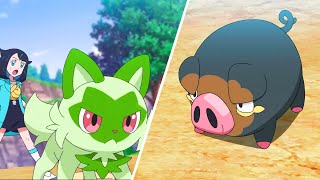 Liko(Sprigatito) vs Lechonk | Mel - Poison | Pokemon Horizons Episode 9 | Pokemon 2023 Episode 9 AMV