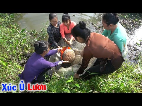 Video Xúc Ủ Lươn Đồng và Bữa Cơm Lươn Um Đọt Bầu Đạm Bạc đãi... - youtube