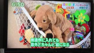 まちかど情報室 ハンモック おもちゃ 収納 ハンモックピロー 平干しネット おはよう日本