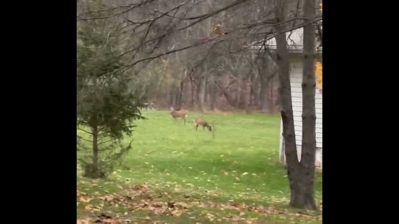 Leviticus 25 : 36-37 — “Take no interest or profit from him, but fear your God.”