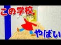 学校で問題をミスると先生が本気で殺しに来るホラーゲームで笑った Baldi S Basics In Education And Learning 学校で問題をミスると先生が本気で殺しに来るホラーゲームで笑った Baldi S Basics In Education And Learning