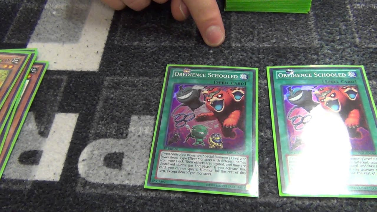 Yugioh Deck Profile Racoons Get Obedience Schooled?!?! YouTube