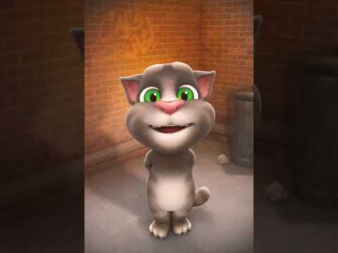 Untitled video