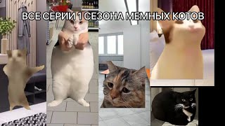 Сборник серий 1 сезона мемных котов