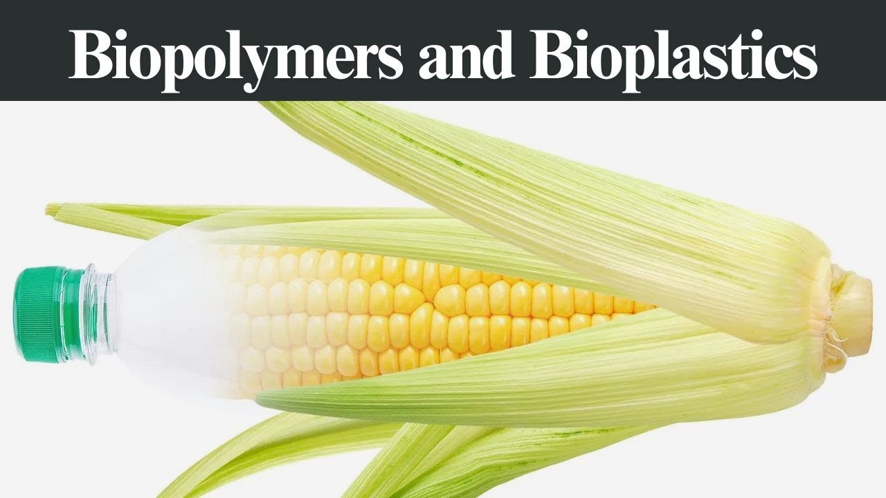 Biopolymers and Bioplastics | The Future of Sustainable Materials - YouTube