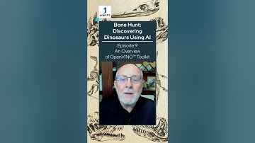 An Overview of OpenVINO™ toolkit | Bone Hunt: Discovering Dinosaurs Using AI | Intel Software