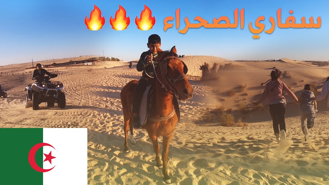 safari-alg-rie