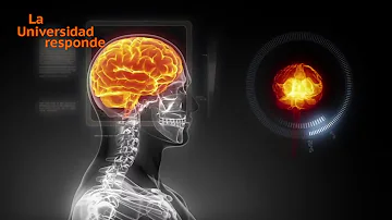 ¿Afecta la depresión a la inteligencia?