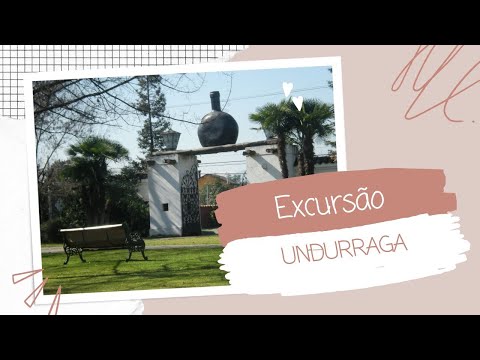 💜💜 Excursão Undurraga - é uma das adegas mais importantes do Chile- Whatsapp + 56 9 6919 5247 💜💜