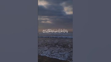 عينا فيها تسمى سلسبيلا #quran #اكسبلور #المصحف #لايك #قرآن #قران_كريم #القارئ #اللحيدان