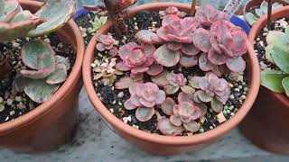 Yağmurlu Bir İstanbuldan Günaydın