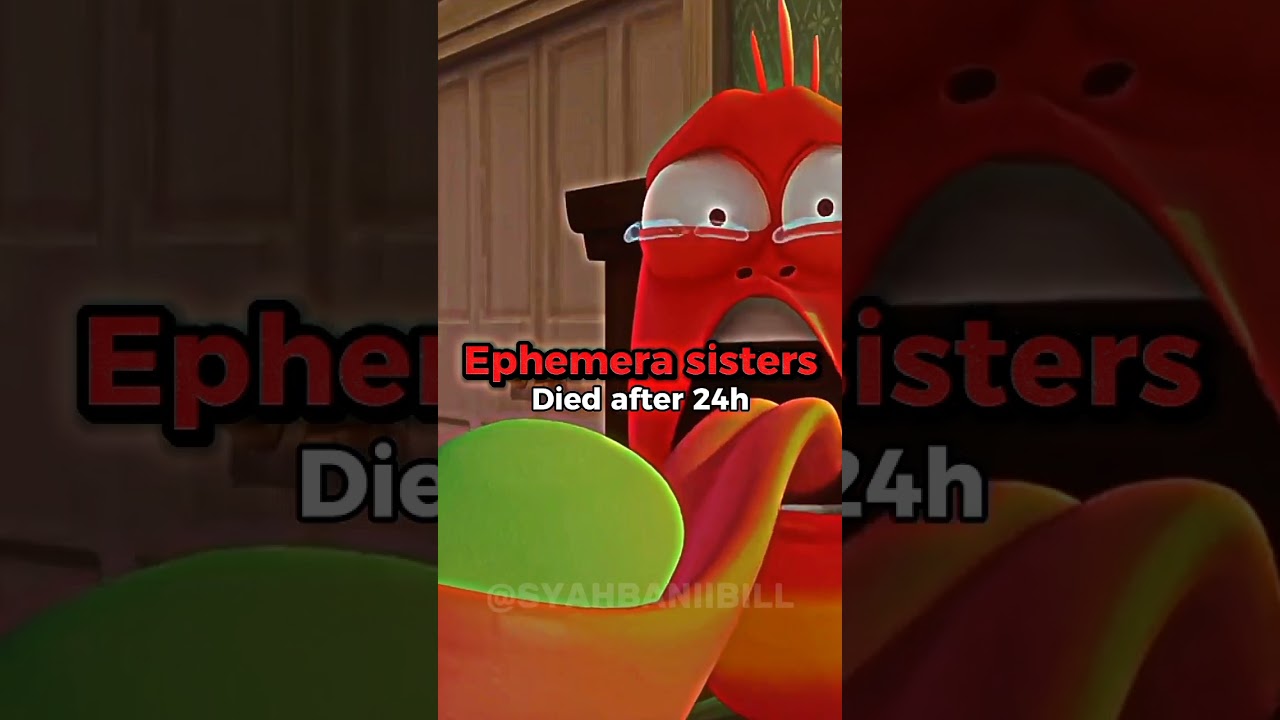Characters who DIED in Larva #shorts #fyp #larva #edit #tiktok