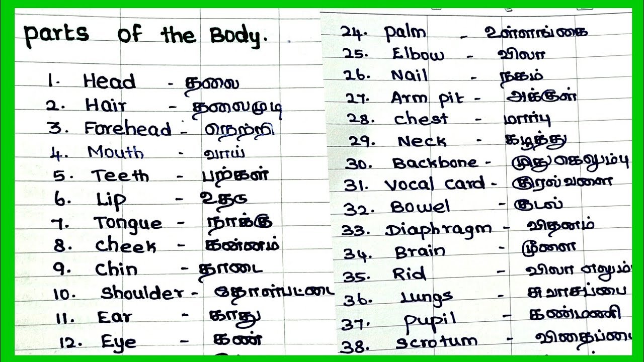 Parts of the body || Body parts names in english and tamil || JSJ JESY ...