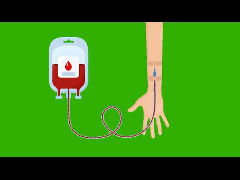 Blood Donate Green Screen Video | Green Screen Animation