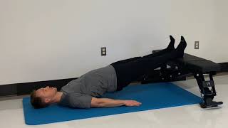 Bench Feet Elevated Reverse Plank