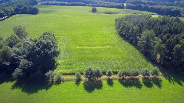 Umbau Gitup Git2  mit  90° 4.1mm Lens