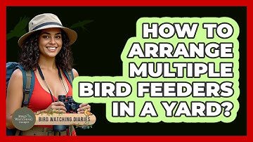 How To Arrange Multiple Bird Feeders In A Yard?