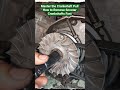 Master the Crankshaft Pull How to Remove Scooter Crankshafts Fast #shortvideo #mechanic