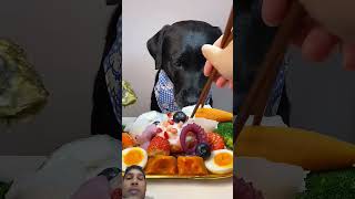 Yummy lunch 😋🐕 #lunchbox #allrecipes #diglover #daujivlogs4 #pets