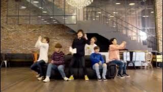 Seventeen - Pretty U Dance Practice Mirrored Ver.