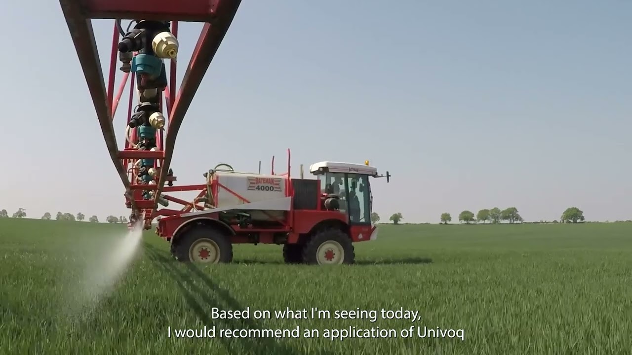 A closer look at disease pressure before T1 fungicide timing