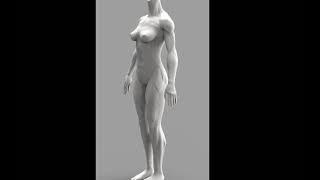 Female anatomy 2