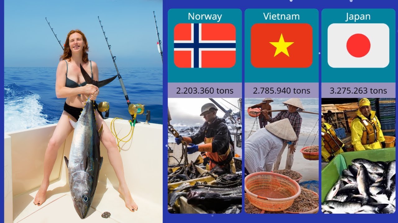 Top 15 largest countries by fish production
