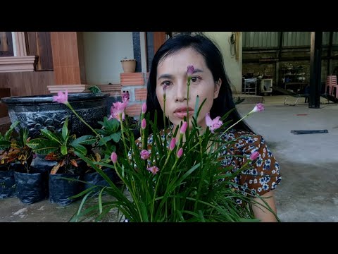 Video: Beryllium Yog Cov Tshuaj Lom Neeg Lub Cev