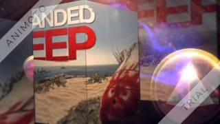 Bienvenidos A Mi Canal Swokiteam