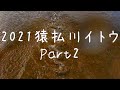 猿払川イトウ #shorts　2021/06/02　こちらは2匹目！フライフィッシング　キャッチ＆リリース　北海道 釣り 　イトウは絶滅危惧種です 撮影などは短時間で済ませて優しくリリースを。