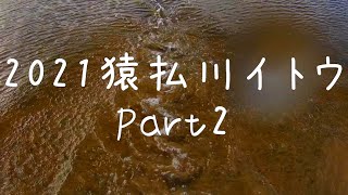 猿払川イトウ #shorts　2021/06/02　こちらは2匹目！フライフィッシング　キャッチ＆リリース　北海道 釣り 　イトウは絶滅危惧種です 撮影などは短時間で済ませて優しくリリースを。