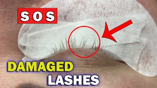 MEGA VOLUME 34D TUTORIAL / How to save damaged lashes / Mix blue and black lashes