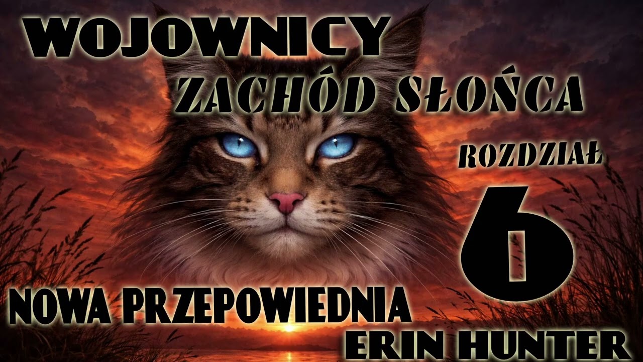 WOJOWNICY, NOWA PRZEPOWIEDNIA : ZACHÓD SŁOŃCA ,OPOWIEŚĆ O KOTACH DLA DZIECI I MŁODZIEŻY FANTASY,KOTY